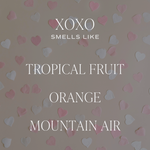 XOXO 15 oz Soy Candle \ Matte Jar