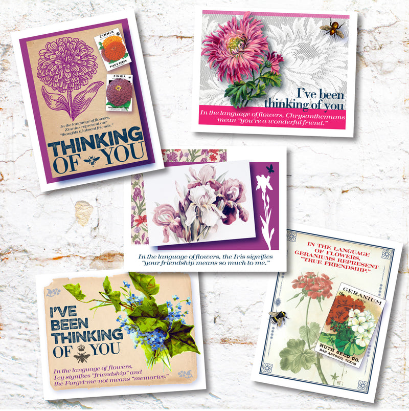 Thinking of You note card set | Buffalo Gal